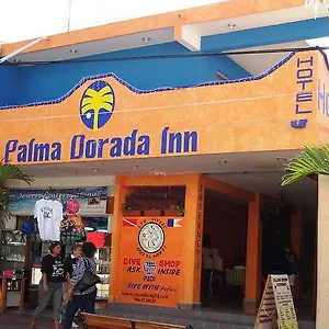 Hotel Palma Dorada